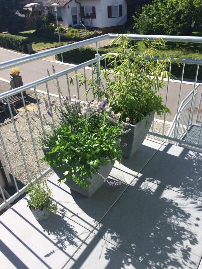 Ferienwohnung Walk 잘렘 외부 사진
